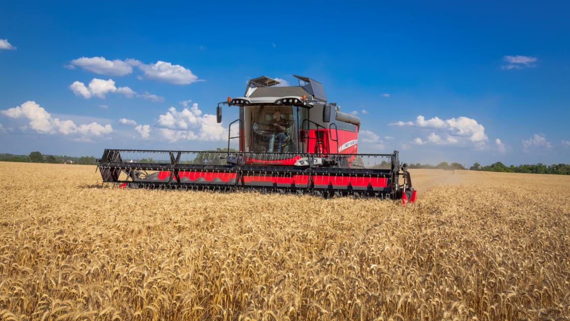 DIRECT UIT VOORRAAD LEVERBAAR MF 7370 BETA